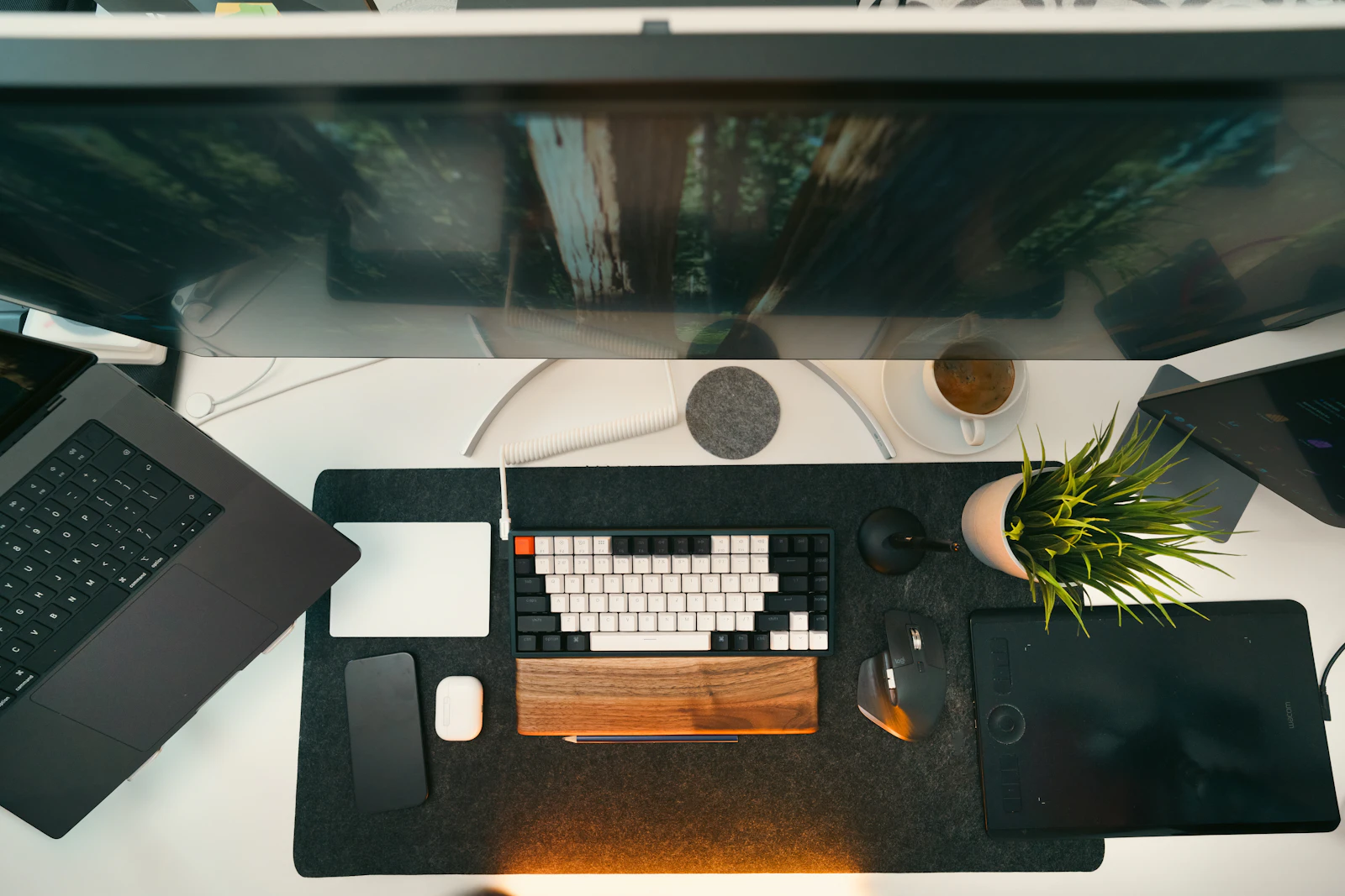 Multi-Display and Dock Compatibility Plan